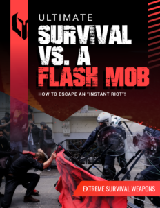 Flash Mob Riot Survival