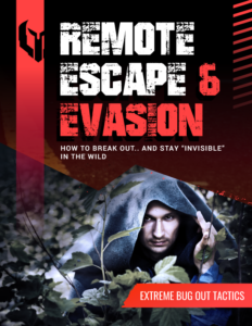 Remote Escape & Evasion