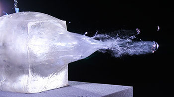 Real-World Ballistics Test