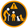 Badge - Special Needs
