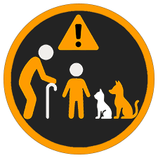 Badge - Special Needs