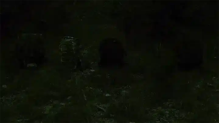 Bugout Bags - Night View