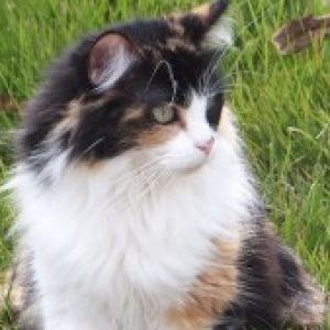 Profile photo of ArdentLady